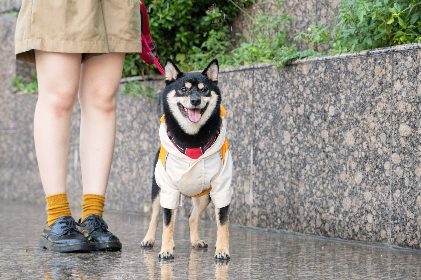 [美國] 可調節魔術氈狗狗雨衣（汪喵拼色款）