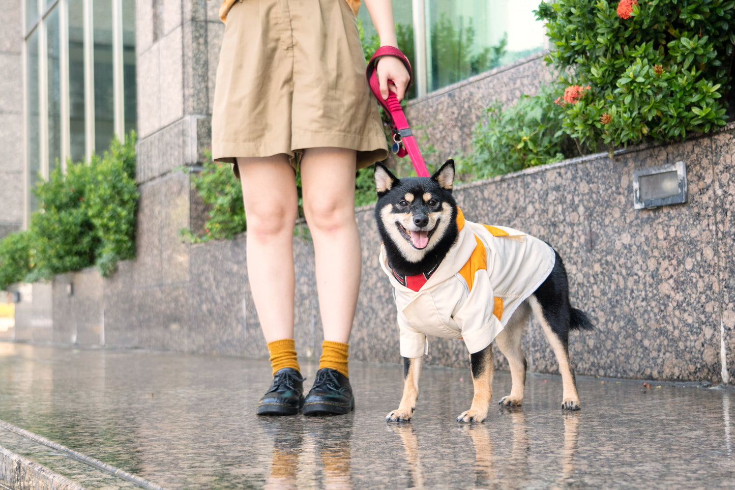 [美國] 可調節魔術氈狗狗雨衣（汪喵拼色款）