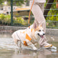 [美國] 可調節魔術氈狗狗雨衣（汪喵拼色款）