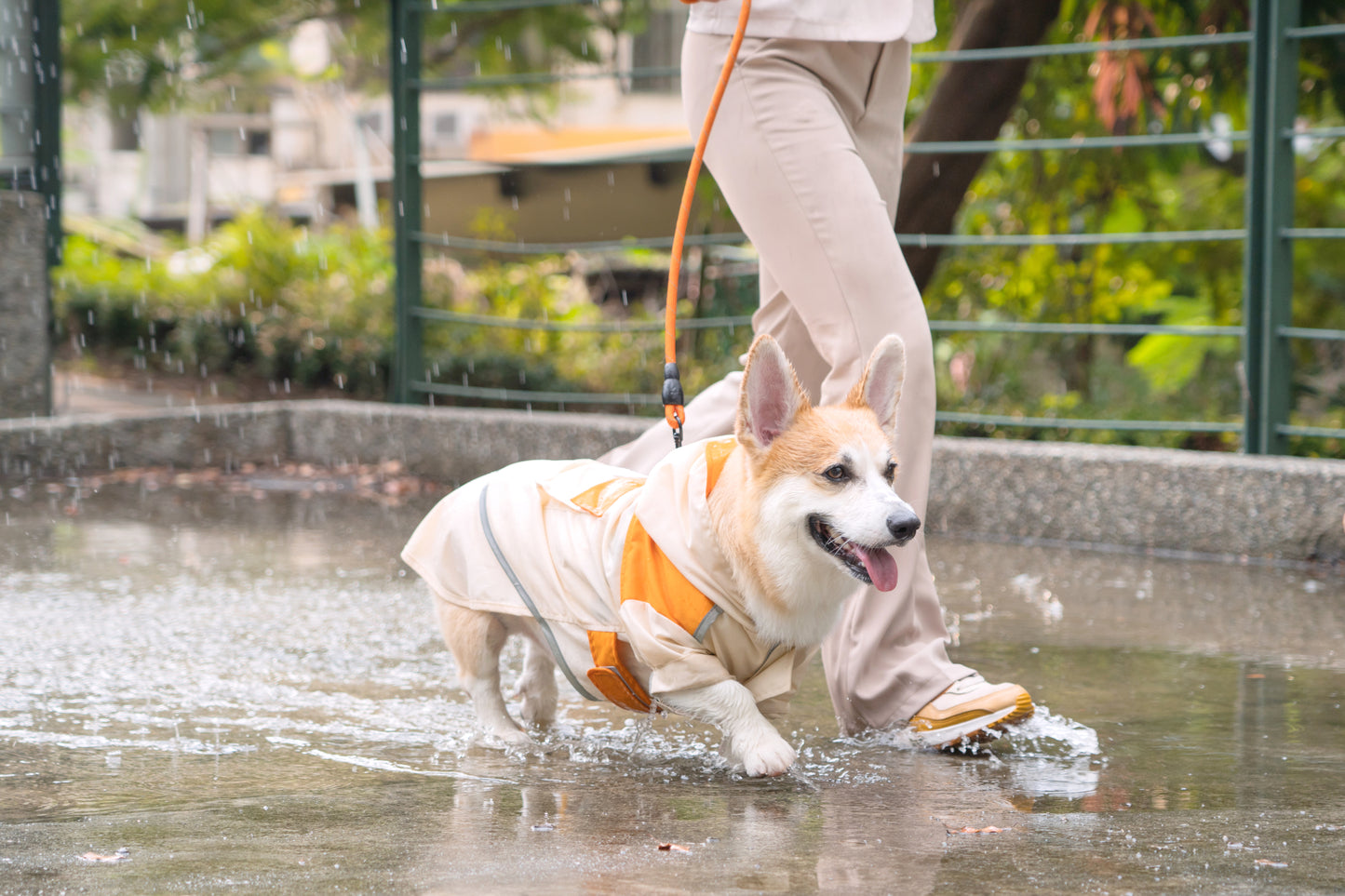 [美國] 可調節魔術氈狗狗雨衣（汪喵拼色款）